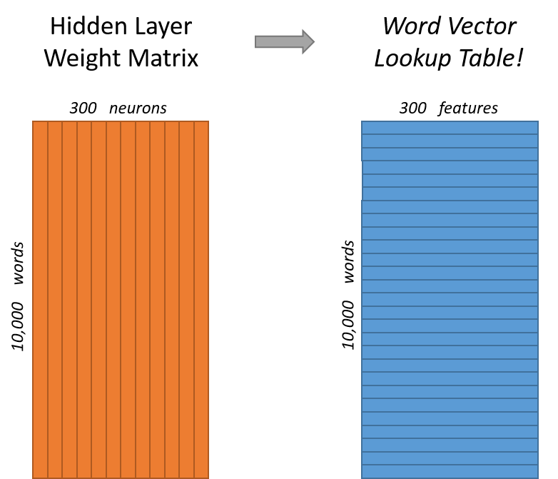 ord2vec_weight_matrix_lookup_tabl